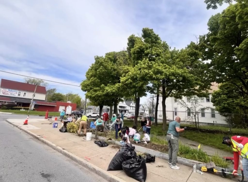 Community partners working together on the green-space project