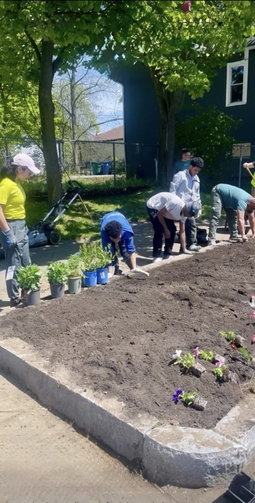 Residents and volunteers caring for the neighborhood green space